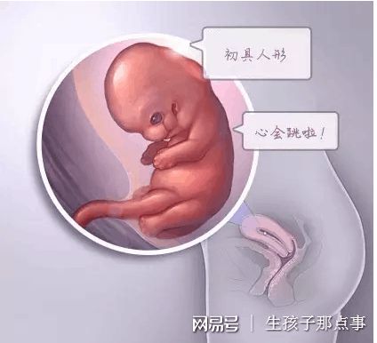 副院长